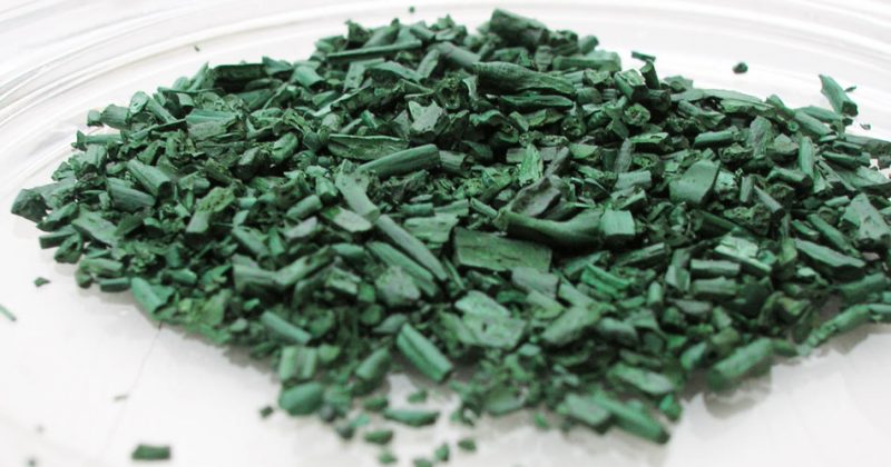 spirulina vegetable protein