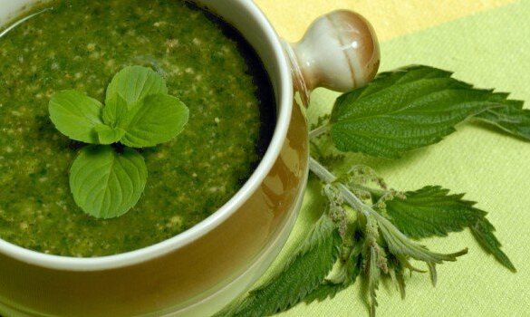 soupe ortie