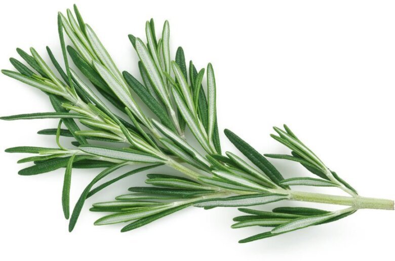 romarin