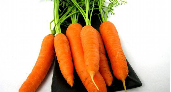 carotte