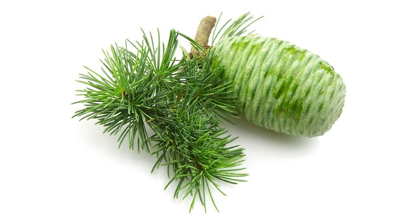 huile-essentielle-cedre