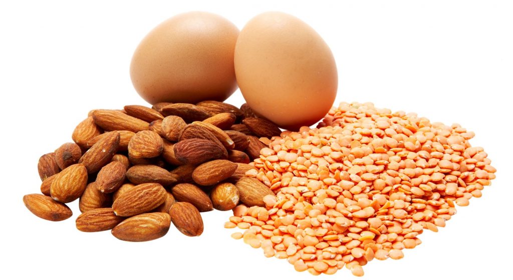 sources de proteines