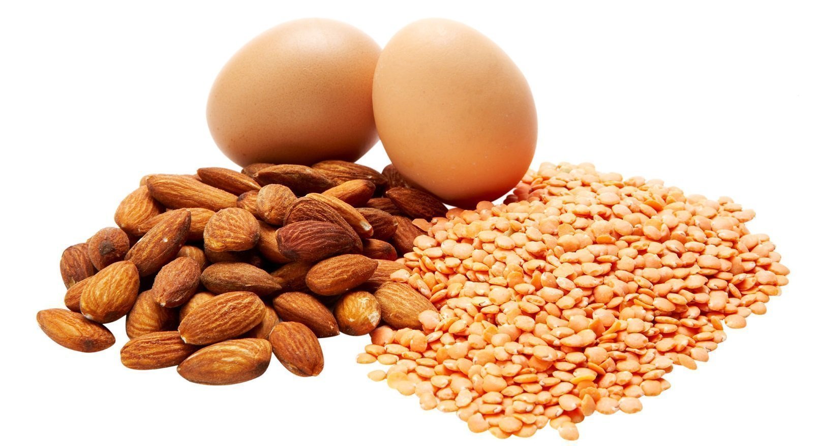 sources de proteines