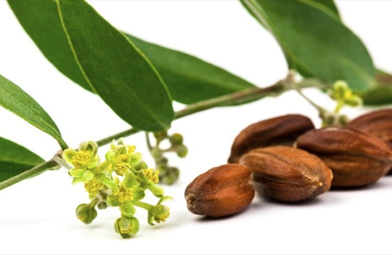 aceite de masaje de jojoba contra la celulitis