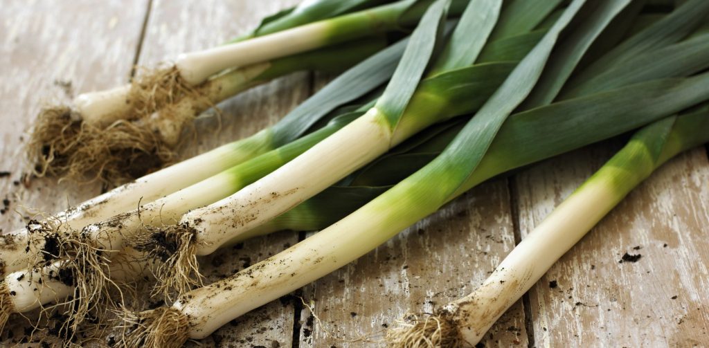 mugs omelette poireaux