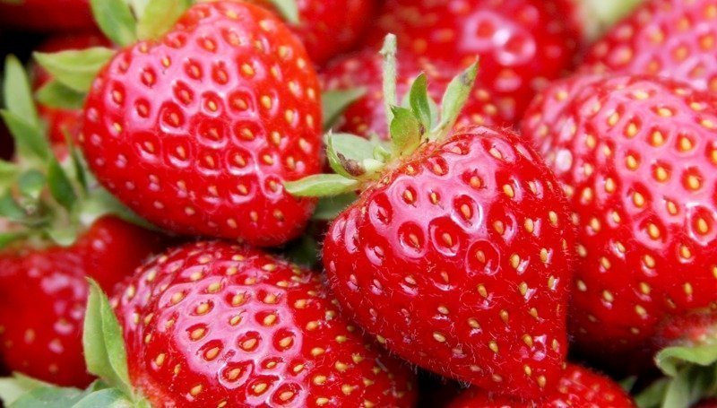 fraise_boissons minceur