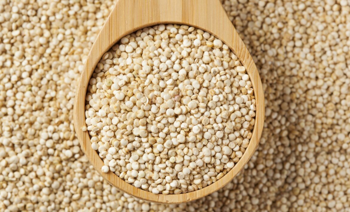 Féculents faire ses courses