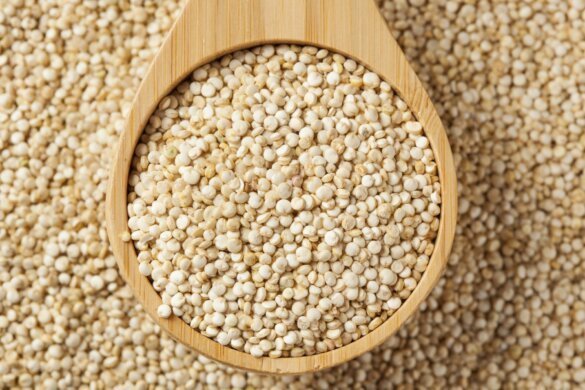 7 Foods Rich in Vegetable Protein
