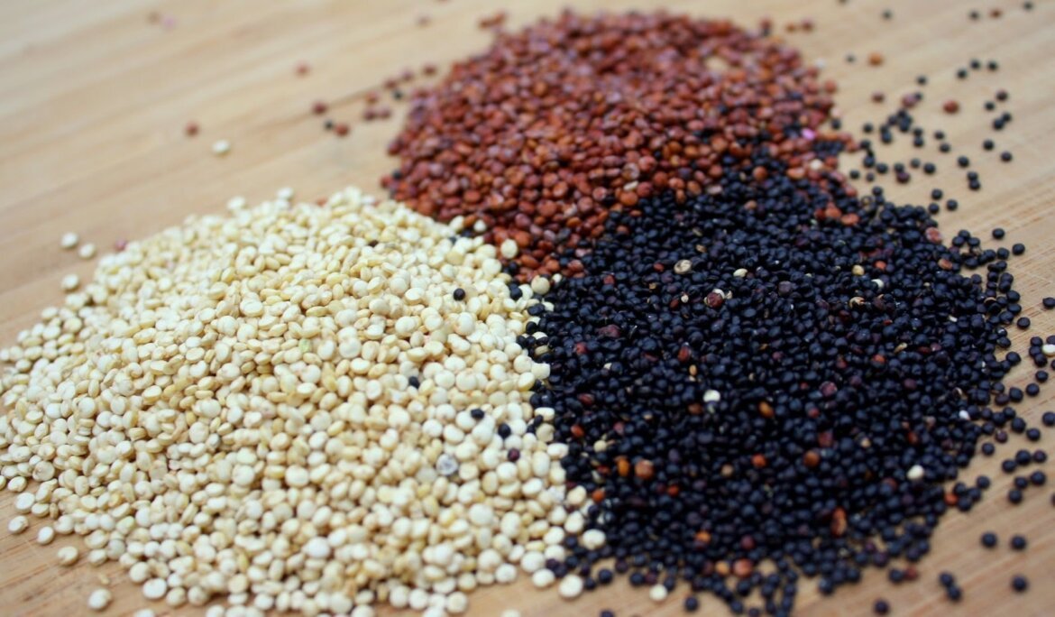 Le quinoa