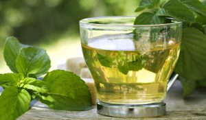 el té verde: el ingrediente indispensable por un buen tratamiento desintoxicante.