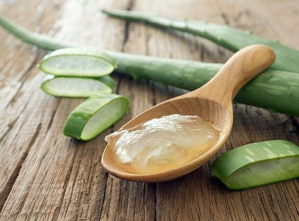 Aloe vera