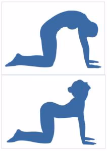 Capture d’écran 2016-06-02 à 13.37.24