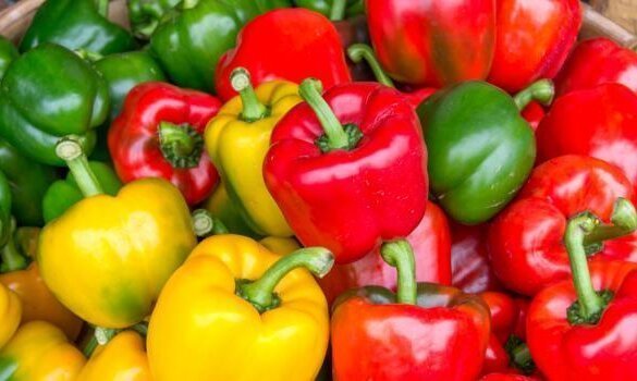 rutina anticelulitis comida 
