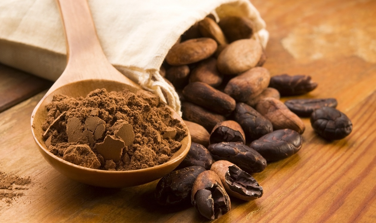 poudre-cacao-solutions-naturelles