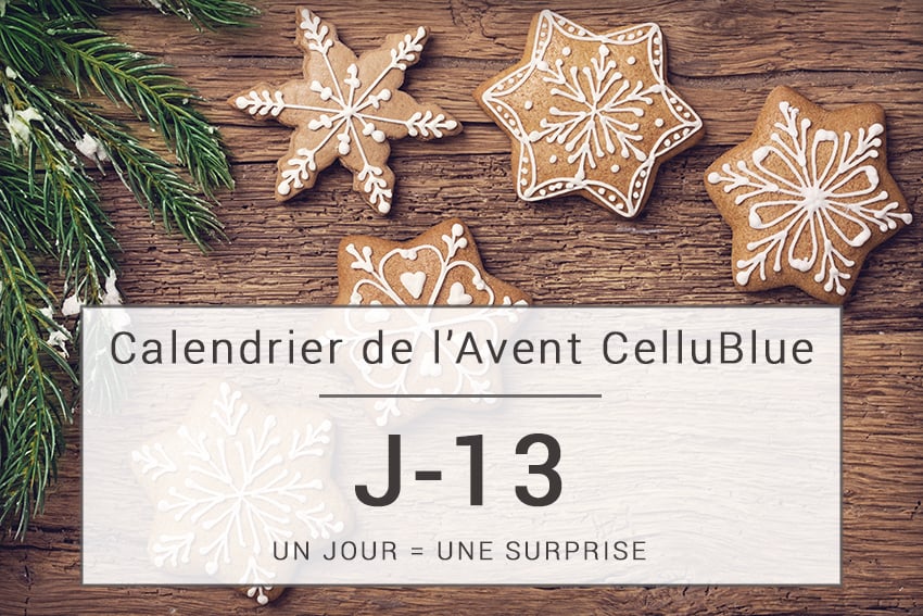 J-13 avant Noël – 12 décembre - Cellublue