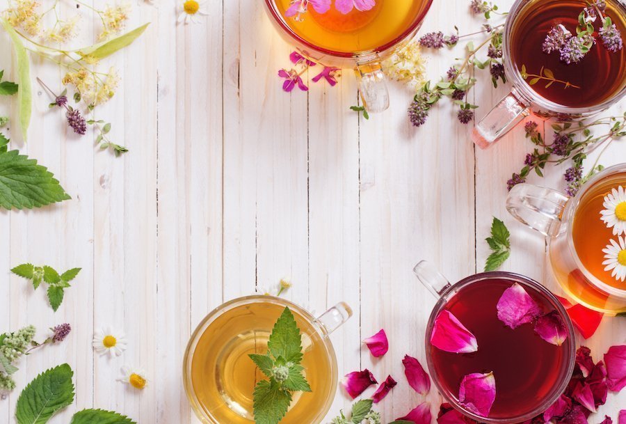 The plantes boisson