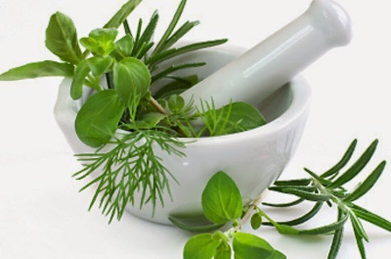 Plantas medicinales para la diabetes