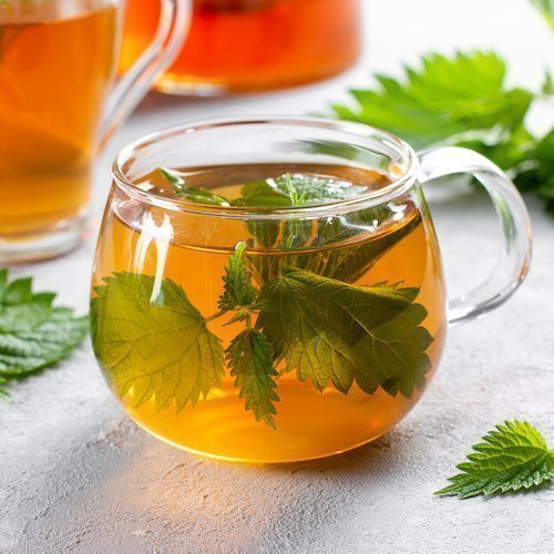 Infusion à l'ortie