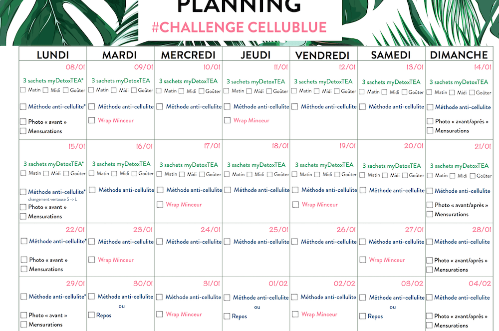 challenge objectif detox planning