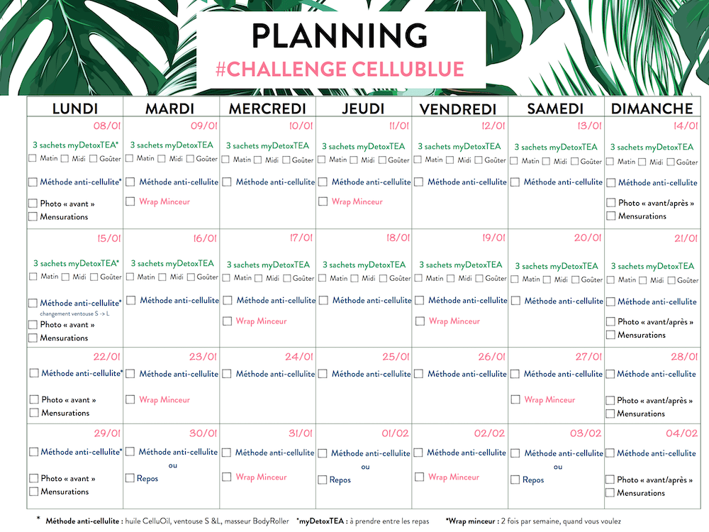 challenge objectif detox planning