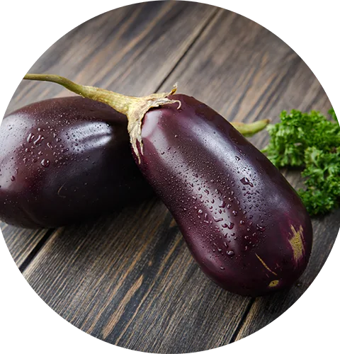 Aubergine un element brule graisses