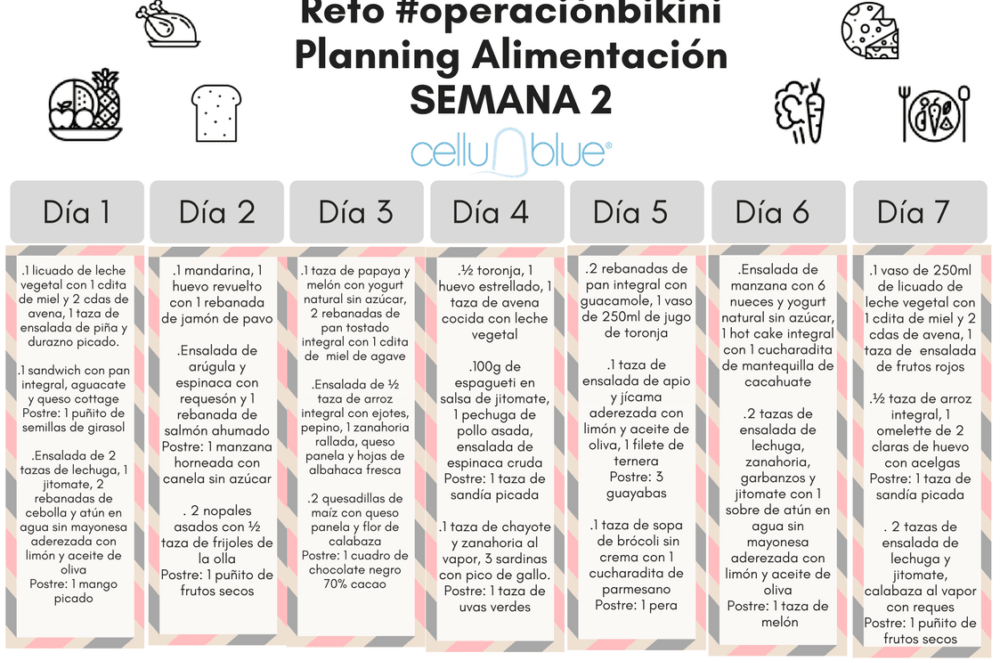 ALIMÉNTATE SANAMENTE CON NUESTRO PLANNING DE ALIMENTACIÓN