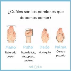 Porciones para Reto México Sano 