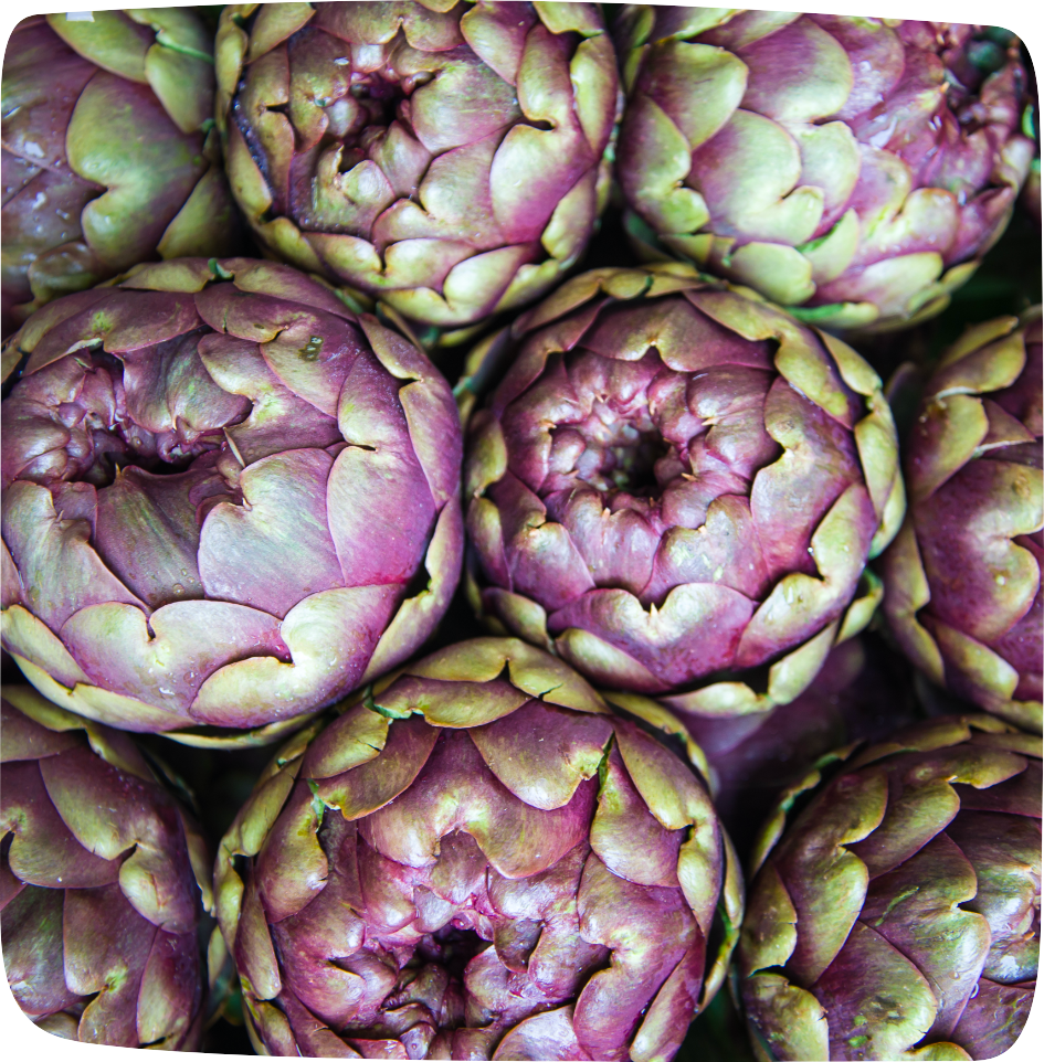 aliments contre la rétention d'eau artichaut