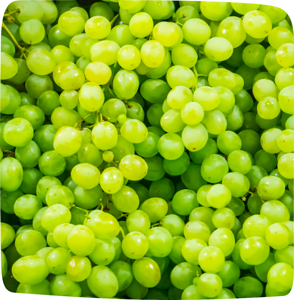 aliments contre la rétention d'eau raisin