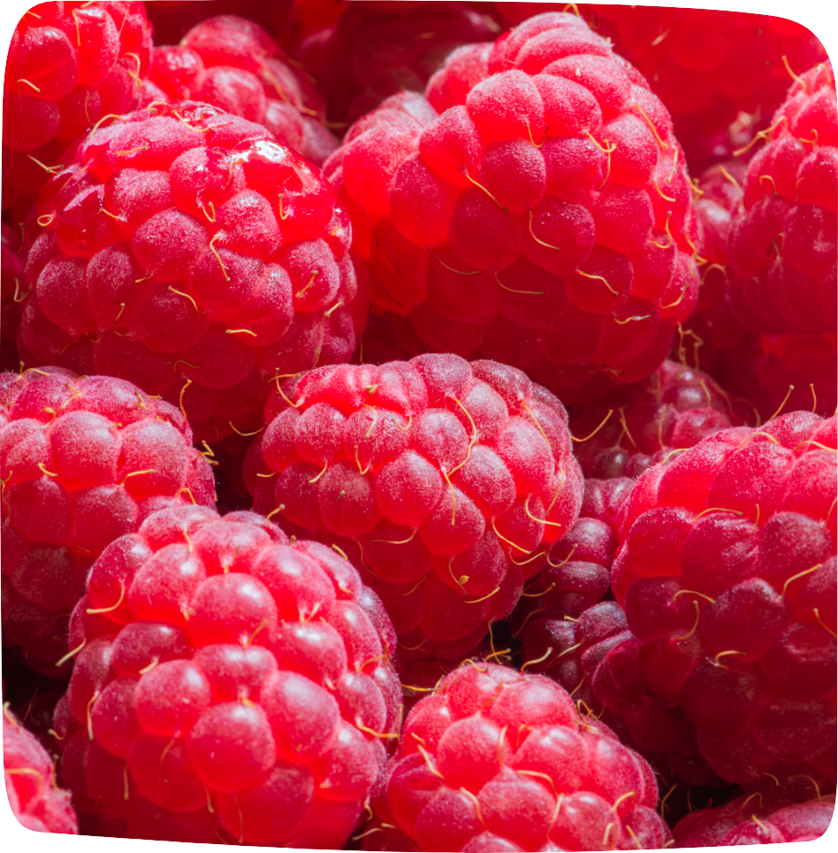 aliments détox été framboise