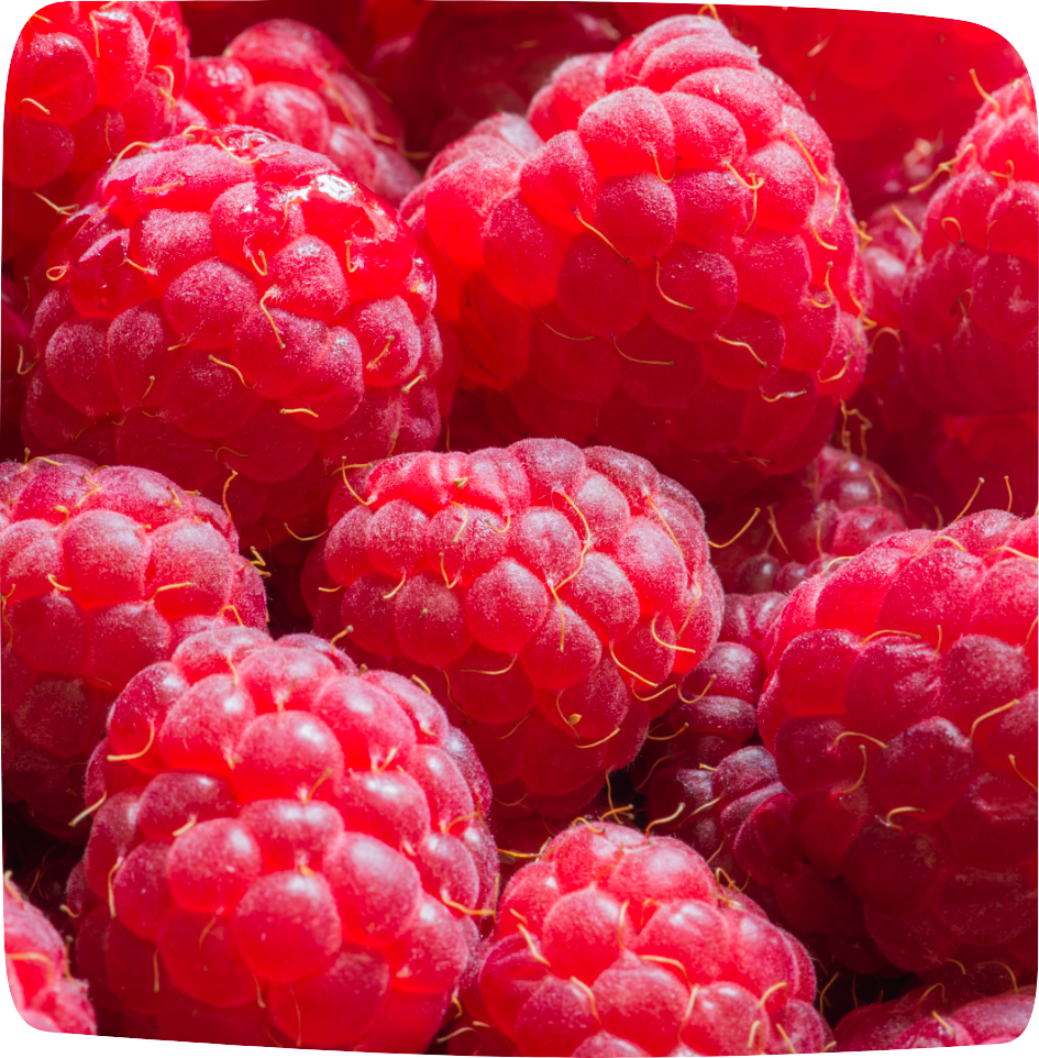 aliments détox été framboise