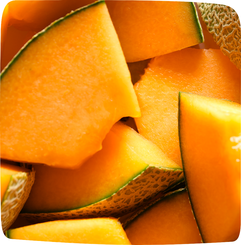 aliments détox été melon