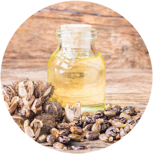 Huile végétale de ricin contre les vergetures