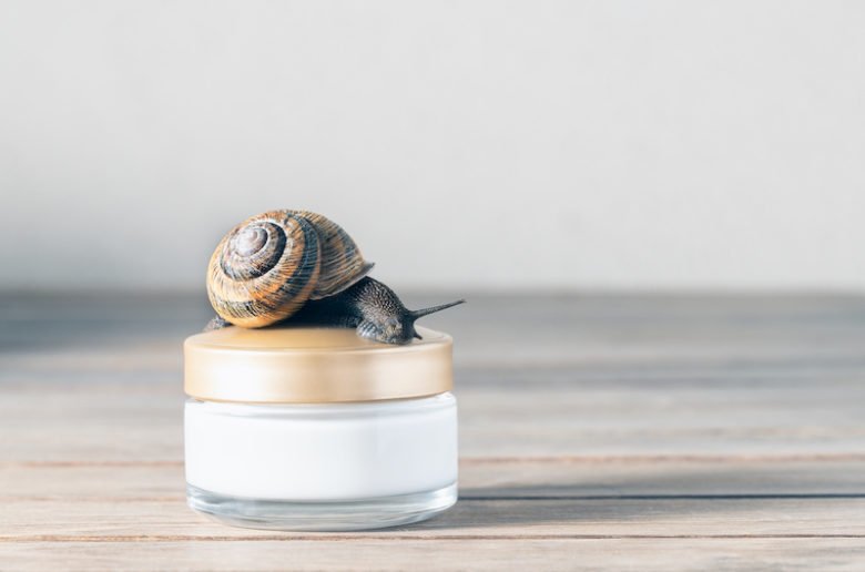 Comment récolter la bave d'escargot
