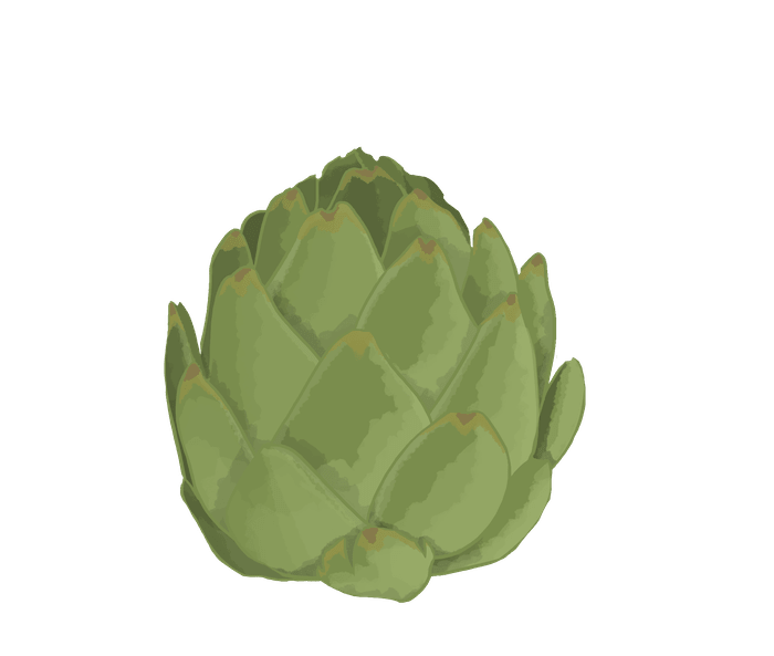 Savez vous ce qu'est un actif cosmétique et à quoi ça sert ? - Artichaut