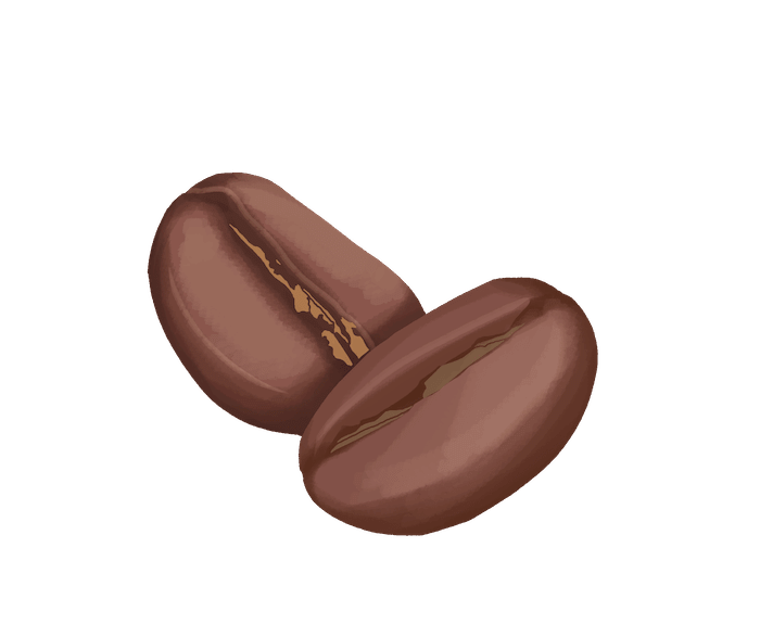dessin caféine