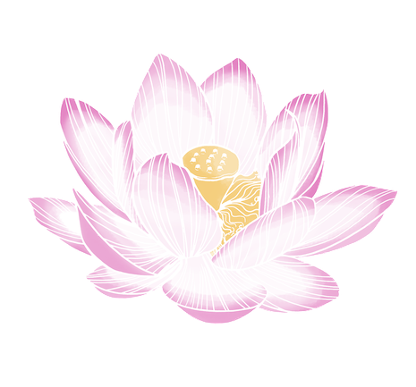 dessin fleur de lotus sacré