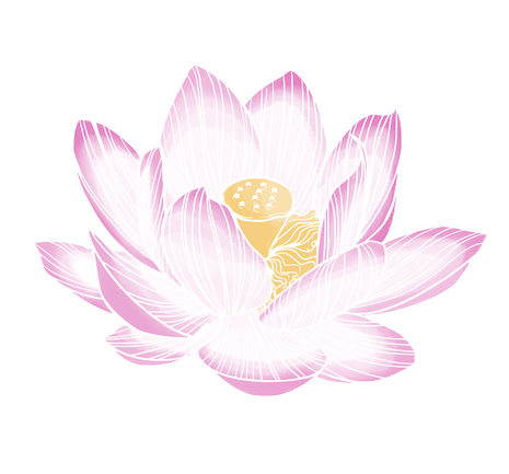Dessin fleur de lotus sacré
