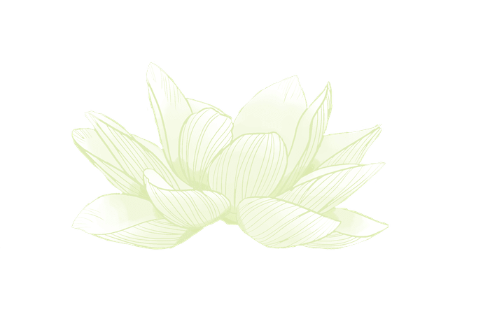 dessin lotus sacré fermé