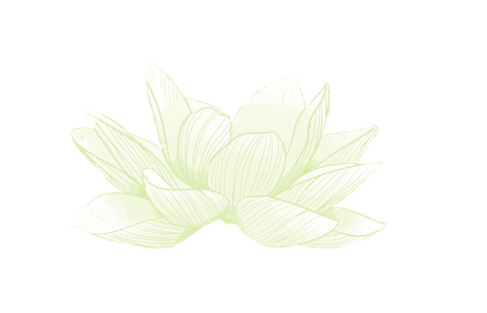 dessin lotus sacré fermé