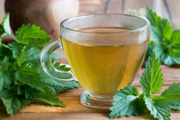 Nettle: composition, uses and recipe ideas