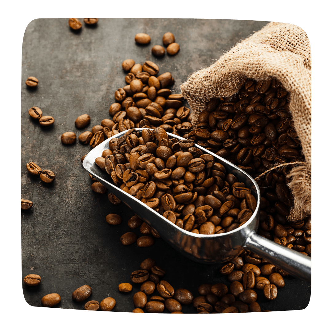 cafe plante brule graisses