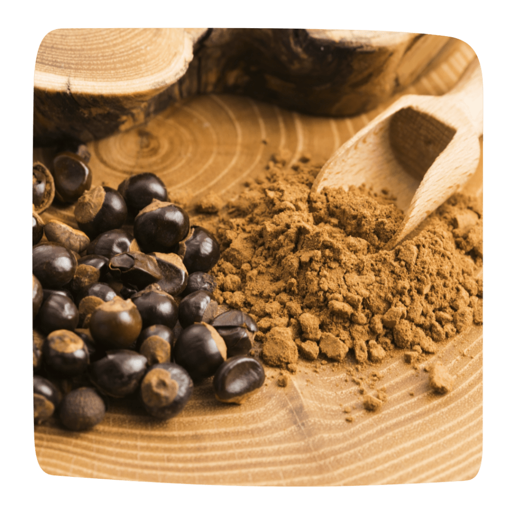 guarana brule graisse naturel