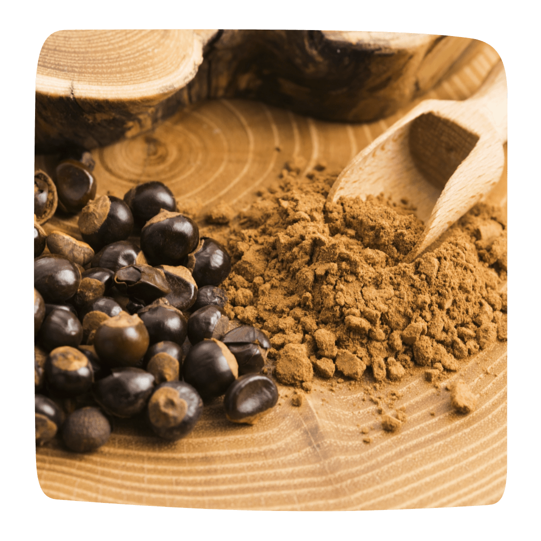 guarana brule graisse naturel