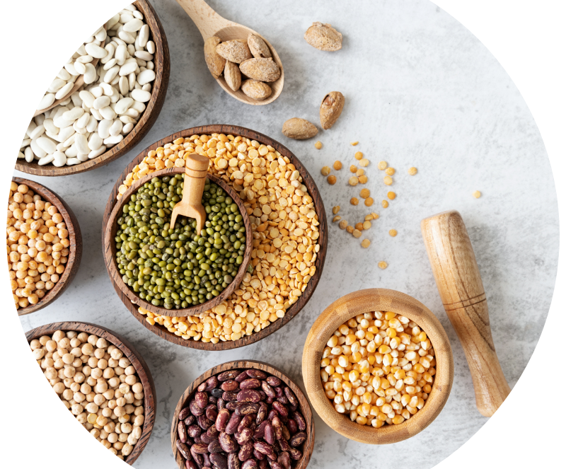Legumes secs