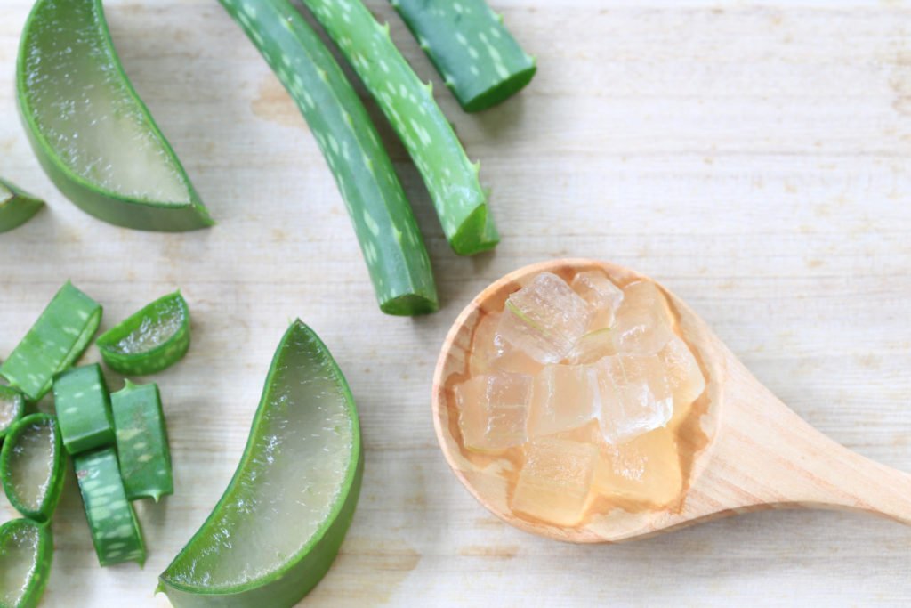 Aloe vera vergetures