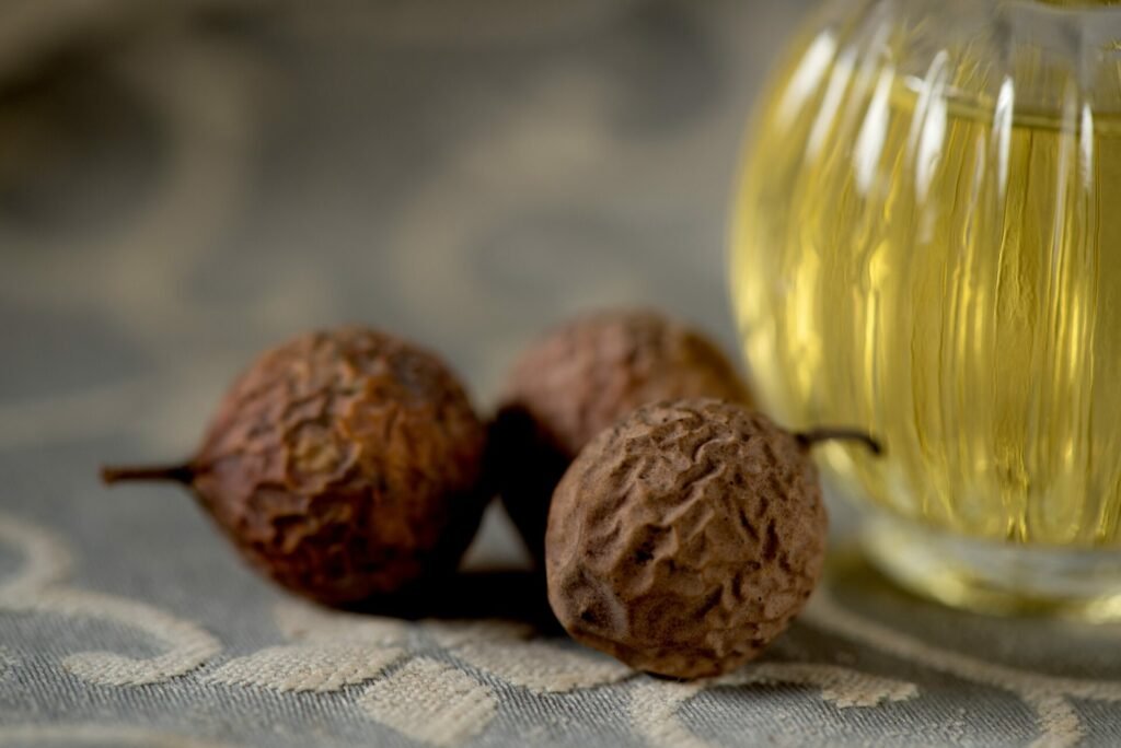 Huile calophylle cellulite propriétés