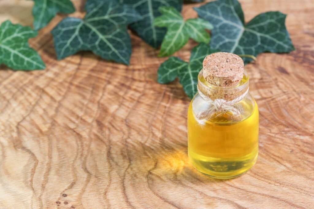 Le lierre contre la cellulite : vraiment efficace ? - Lierre cellulite utilisation