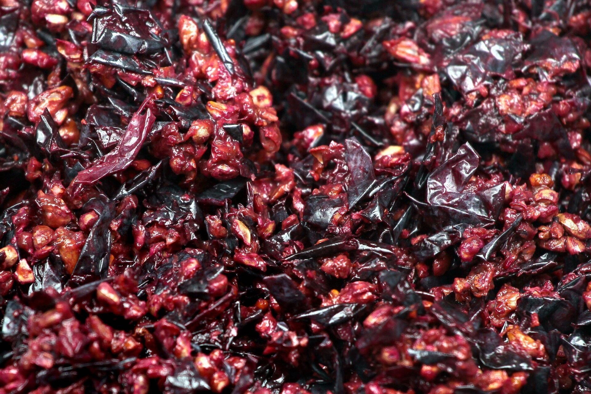 marc-de-raisin-cellulite-bienfaits