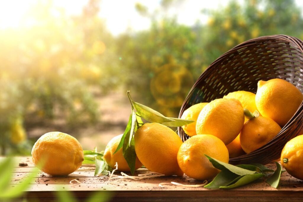 fruit-moins-sucré-citron